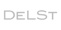 Logo delst